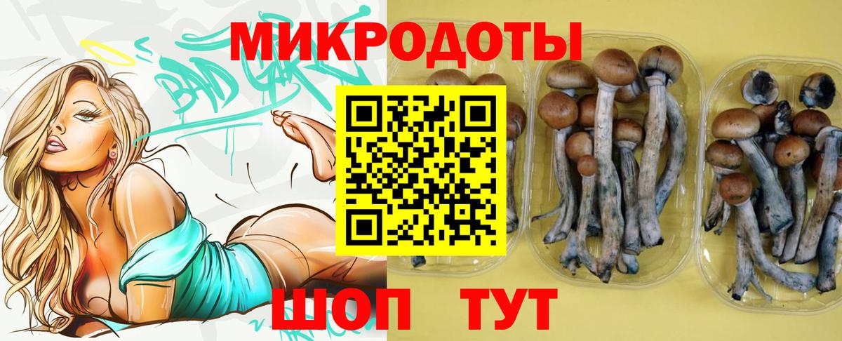Псилоцибиновые грибы Cubensis  купить наркотик  Владивосток  Вход с VPN 